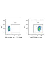 FcZero-rAb? APC Anti-Mouse CD11a (M17/4) Rabbit IgG Recombinant Antibody Proteintech  APC-FcA65670