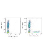 Anti-Human CD16a Rabbit Recombinant Antibody Proteintech  98293-1-RR