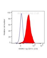 Anti-Human CD11c (3.9) Proteintech  65086-1-Ig