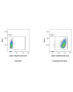 Anti-Human ART4/CD297 Rabbit Recombinant Antibody Proteintech  98483-1-RR