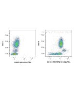 Anti-Human TNFR2/CD120b Rabbit Recombinant Antibody Proteintech  98010-2-RR