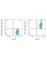 Anti-Human Integrin Beta 1/CD29 (TS2/16) Mouse IgG2a Recombinant Antibody Proteintech  65601-1-MR