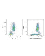 Anti-Human CD300a Rabbit Recombinant Antibody Proteintech  98268-1-RR