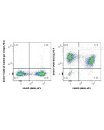 FcZero-rAb? Biotin Anti-Mouse CD2 Rabbit Recombinant Antibody Proteintech  Biotin-FcA98193