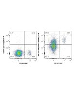 Anti-Human ICAM-1/CD54 Rabbit Recombinant Antibody Proteintech  98011-4-RR