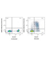 Anti-Human CD40L/CD154 Rabbit Recombinant Antibody Proteintech  98355-2-RR