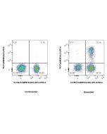 FcZero-rAb? PE Anti-Human IL-2 Rabbit Recombinant Antibody Proteintech  PE-FcA98053