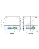 Anti-Human TCR Vγ9Vδ2 Rabbit Recombinant Antibody Proteintech  98526-1-RR