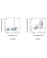 FcZero-rAb? APC Anti-Human CD134/OX40 Rabbit Recombinant Antibody Proteintech  APC-FcA98181
