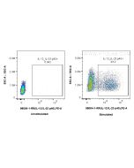 Anti-Mouse IL-12/IL-23 p40 Rabbit Recombinant Antibody Proteintech  98004-1-RR