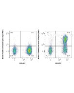FcZero-rAb? Biotin Anti-Human CD126/IL-6R alpha Rabbit Recombinant Antibody Proteintech  Biotin-FcA98057
