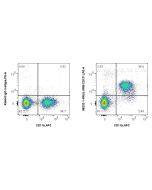 Anti-Mouse IL-3RB/CD131 Rabbit Recombinant Antibody Proteintech  98232-1-RR
