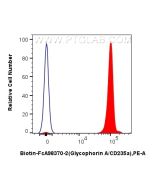 FcZero-rAb? Biotin Anti-Human Glycophorin A/CD235a Rabbit Recombinant Antibody Proteintech  Biotin-FcA98370-2