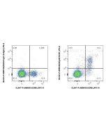 FcZero-rAb? Biotin Anti-Human NKp46/NCR1 Rabbit Recombinant Antibody Proteintech  Biotin-FcA98340