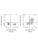 FcZero-rAb? Biotin Anti-Mouse CD134/OX40 (OX-86) Rabbit IgG Recombinant Antibody Proteintech  Biotin-FcA65657