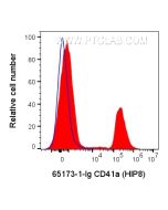 Anti-Human CD41 (HIP8) Proteintech  65173-1-Ig