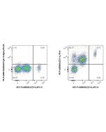 FcZero-rAb? PE Anti-Human CD11c (BU15) Rabbit IgG Recombinant Antibody Proteintech  PE-FcA65600
