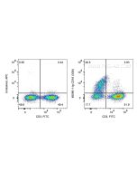 Anti-Human CD16 (3G8) Proteintech  65090-1-Ig