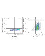 Anti-Human CXCL10/IP-10 Rabbit Recombinant Antibody Proteintech  98265-4-RR