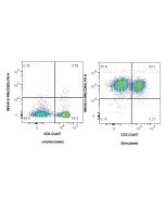 Anti-Mouse CD69 Rabbit Recombinant Antibody Proteintech  98440-2-RR