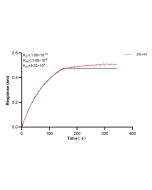 PIP4K2A Monoclonal antibody, PBS Only (Detector) 60415-2-PBS proteintech