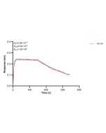 MRPS16 Monoclonal antibody, PBS Only (Capture/Detector) 60439-1-PBS proteintech