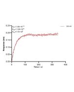 CYP2C9 Monoclonal antibody, PBS Only (Detector) 60576-3-PBS proteintech