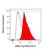 SSTR1 Monoclonal antibody 60681-2-Ig proteintech