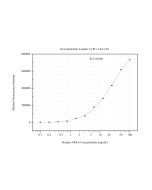 NR4A3 Monoclonal antibody, PBS Only (Capture) 60697-1-PBS proteintech