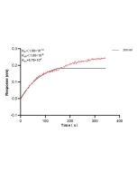 DST Monoclonal antibody, PBS Only (Detector) 60703-3-PBS proteintech