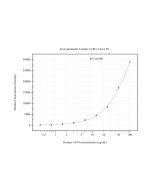 ATF4 Monoclonal antibody, PBS Only (Detector) 60706-2-PBS proteintech
