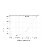 IL-10RA Monoclonal antibody, PBS Only (Detector) 60755-2-PBS proteintech