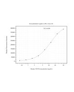CD180 Monoclonal antibody, PBS Only (Detector) 60768-5-PBS proteintech