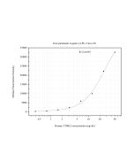 TTBK2 Monoclonal antibody, PBS Only (Detector) 60796-2-PBS proteintech