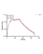GGA1 Monoclonal antibody, PBS Only (Capture) 60864-1-PBS proteintech