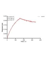 VSTM2L Monoclonal antibody, PBS Only (Capture) 60981-1-PBS proteintech