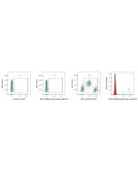 Mouse IgG2b, λ isotype control Recombinant Antibody Proteintech  98739-1-MR