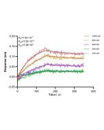 Anti-Human IL-1 beta (2A7C6), PBS Only 65276-1-PBS proteintech