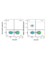 Anti-Human CD19 (4G7) Mouse IgG2a Recombinant Antibody, PBS Only 65562-1-PBS proteintech