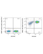Anti-Human CD44 (F10-44-2) Mouse IgG2a Recombinant Antibody, PBS Only 65608-1-PBS proteintech