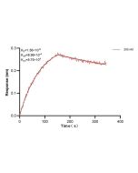 PDIA6 Monoclonal antibody, PBS Only (Detector) 66669-5-PBS proteintech