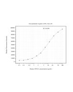 Apolipoprotein A II/APOA2 Monoclonal antibody, PBS Only (Detector) 66773-3-PBS proteintech