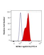 SOX10 Monoclonal antibody 66786-1-Ig proteintech