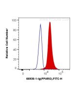 PPAR Gamma Monoclonal antibody, PBS Only 66936-1-PBS proteintech