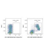 FcZero-rAb? APC Anti-Mouse NCAM1/CD56 Rabbit Recombinant Antibody Proteintech  APC-FcA98118