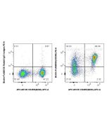 FcZero-rAb? Biotin Anti-Mouse CD200 Rabbit Recombinant Antibody Proteintech  Biotin-FcA98039