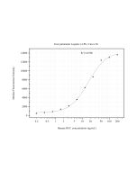 DCC-Specific Monoclonal antibody, PBS Only (Capture) 67203-2-PBS proteintech