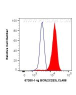 BCR Monoclonal antibody 67260-1-Ig proteintech