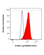 PSMD9 Monoclonal antibody 67338-1-Ig proteintech