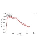 TYK2 Monoclonal antibody, PBS Only (Detector) 67411-5-PBS proteintech